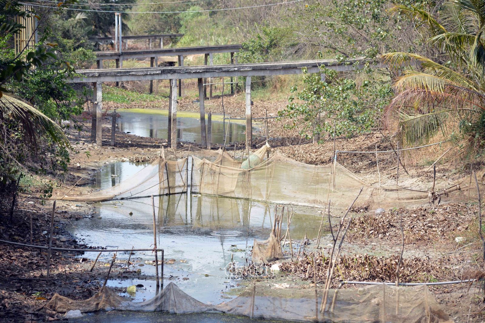 Các kênh, rạch trên địa bàn huyện Gò Công Đông (Tiền Giang) đều cạn trơ đáy do hạn hán, xâm nhập mặn.