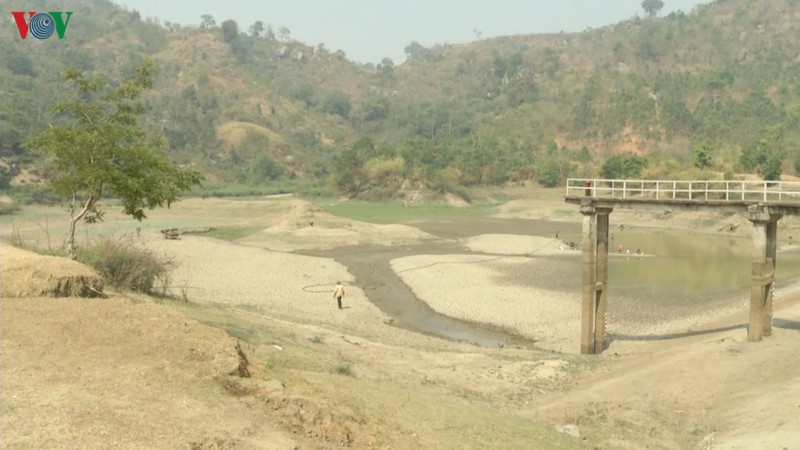 Theo ông Trần Thế Hoan, Giám đốc Công ty TNHH MTV Quản lý công trình thủy lợi Đắk Lắk, dù mới bước vào mùa khô, nhưng nhiều hồ, đập chứa đã cạn kiệt nước tưới.